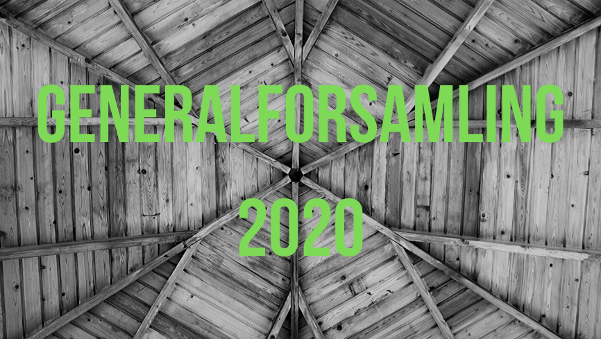 GENERALFORSAMLING 2020